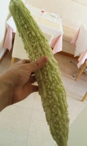 180803_0826~02.jpg